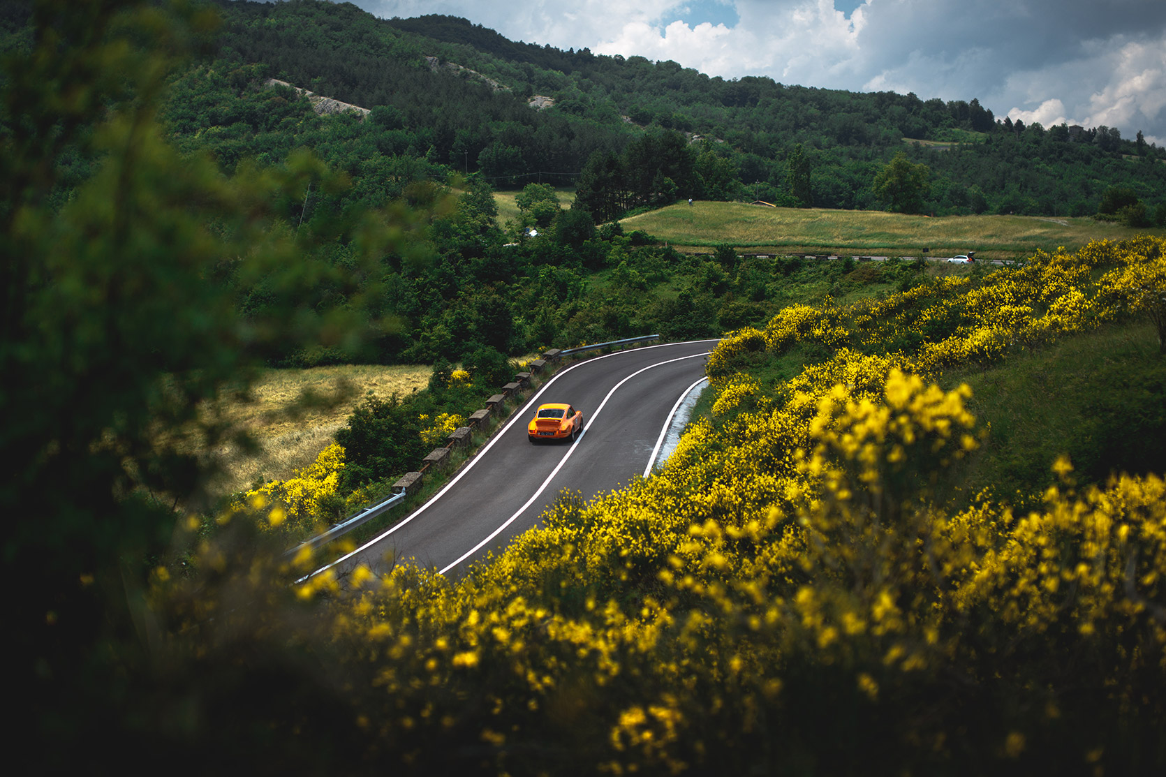 A Porsche 911 Carrera RSR viewed form a yellow flower hill at Modena 100 Ore